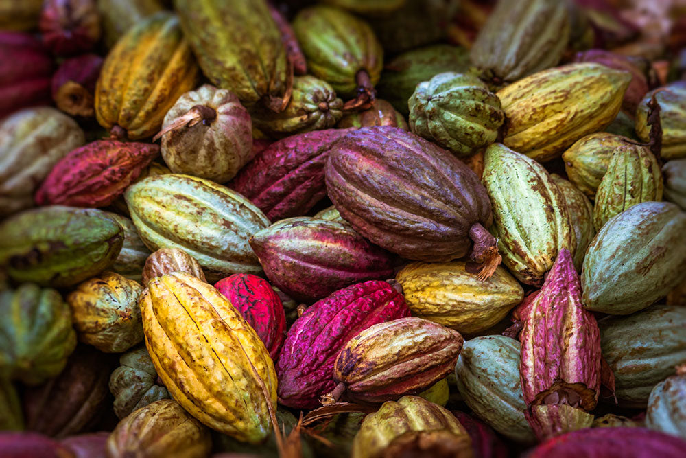 Beurre de Cacao - Cosmétique et Alimentaire - Origine Côte d'Ivoire 🇨🇮 (100 g) -📍 Produit Livré Gratuitement